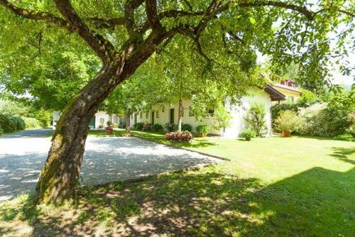 Apartamentos Ferienwohnungen K�rnten Dr. Baumgartner