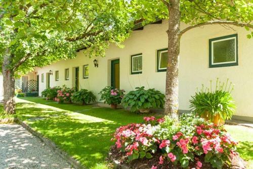 Apartamentos Ferienwohnungen K�rnten Dr. Baumgartner