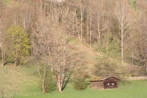 Apartamento Haus Pfeiffenberger