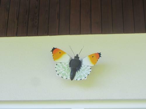 Bed & Breakfast Haus Schmetterling