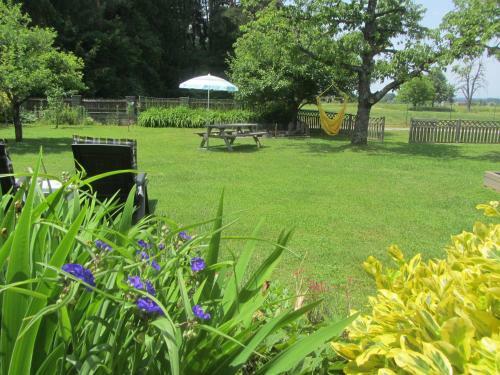 Bed & Breakfast Haus Schmetterling