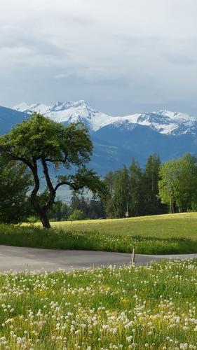 Hostal Pension Platzer