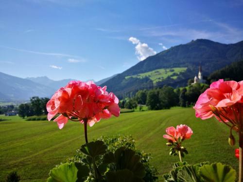 Agroturismo Hof Unterhuben