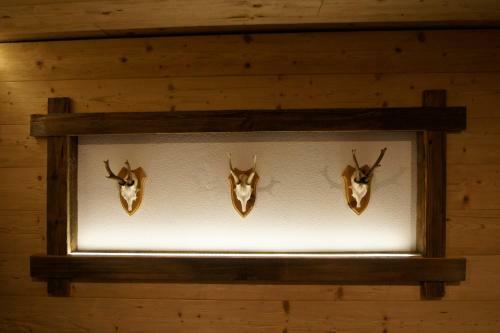 Bergchalet Zillertal