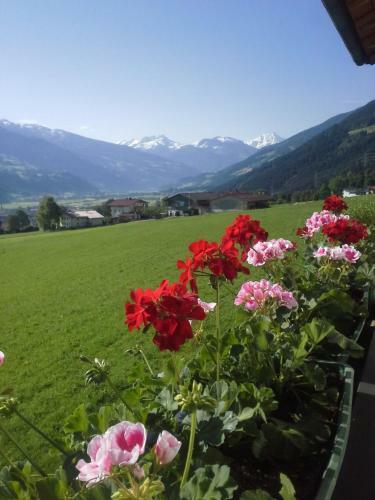 Agroturismo Schorpenhof
