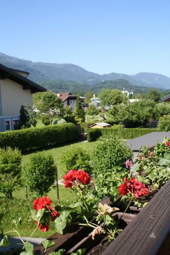 Hostal Pension-ferienwohnung Rotar