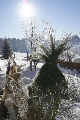 Hostal Haus Farmer