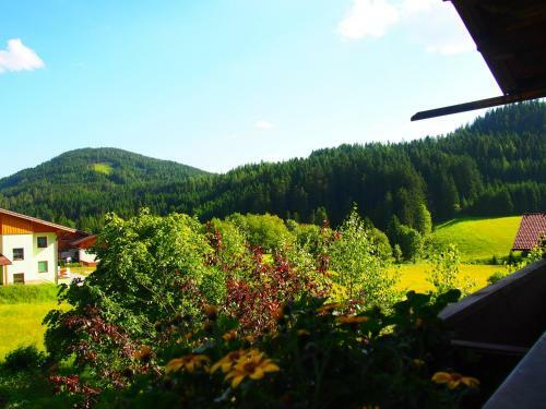Apartamento Appartment Kainhofer