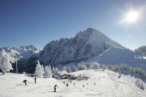 Apartamento Appartment L�rchenalm