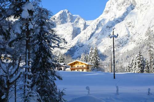 Apartments Alpenfrieden