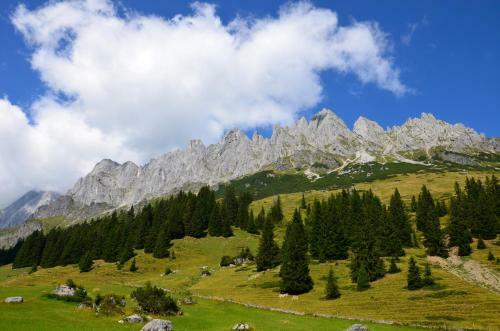 Apartments Alpenfrieden