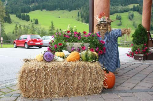 Hotel Alpengasthof L�mmerhof