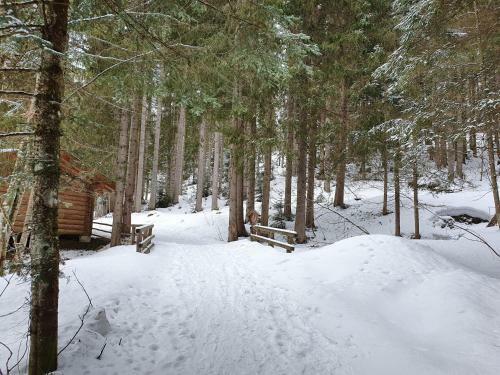 Hotel Alpenhof Pension