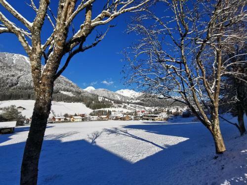 Hotel Alpenhof Pension