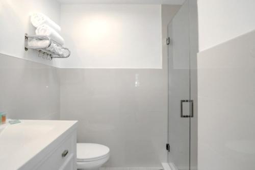 Recently Renovated Studio Apartment - Unit #20b Apts