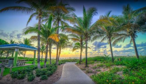 Recently Renovated! 2 2 Apartment - Unit #20a Apts