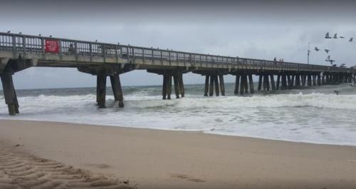 Recently Renovated! 2 2 Apartment - Unit #20a Apts