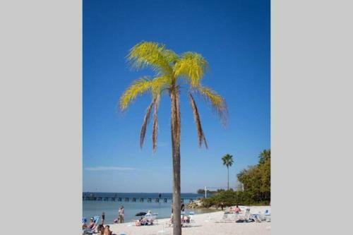 Apartamento Bay View, Studio206, Beach Steps Away! Pool+wifi