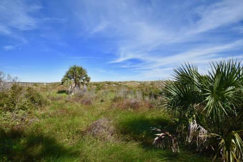 Apartamento Sea Winds 47 Cottage Style Oceanfront Awesome Ocean Views New Kitchen
