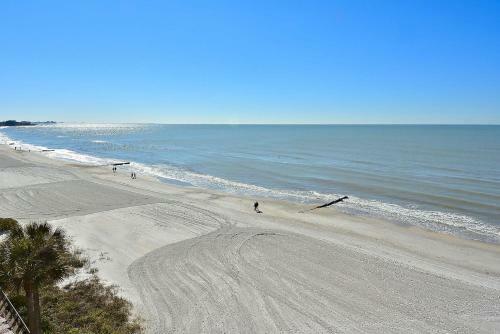The Cottages At Madeira Beach/octopus