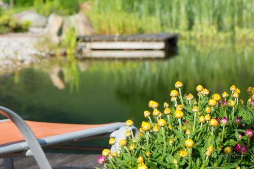 Hostal Sportpension Goldegg