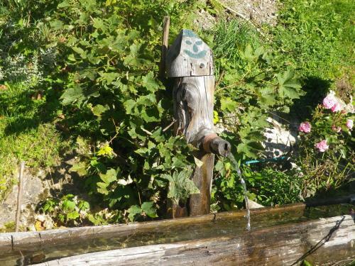 Apartamentos M�slehenhof