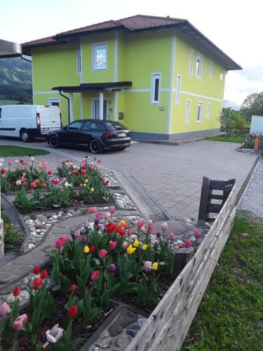 Apartments Steger
