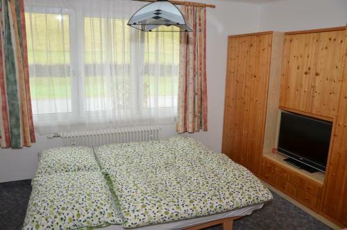 Hostal Haus Dachstein Schnitzer