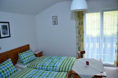 Hostal Haus Dachstein Schnitzer