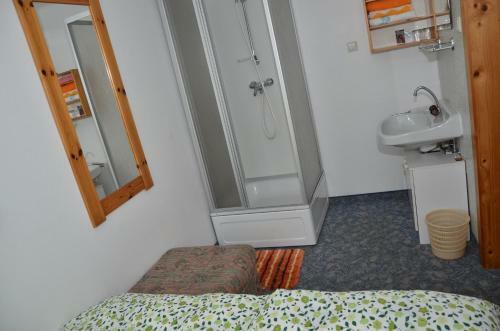 Hostal Haus Dachstein Schnitzer