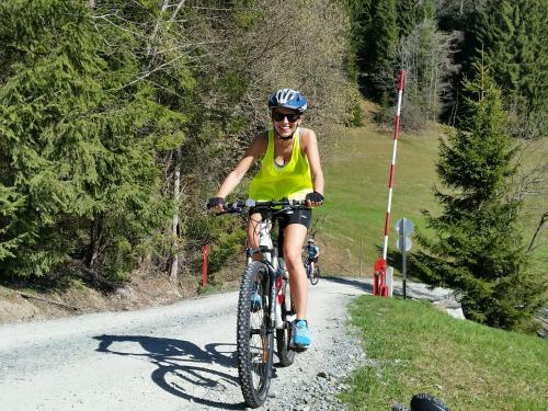 Hostal Haus Dachstein Schnitzer