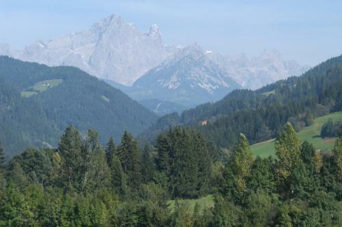 Hostal Haus Dachstein Schnitzer
