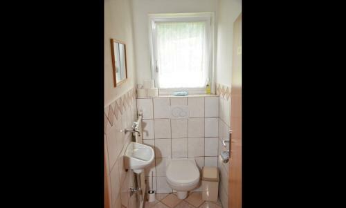 Hostal Haus Dachstein Schnitzer