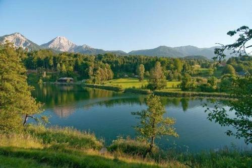 Apartamento Haus Am Wald