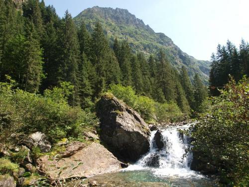 Landhotel H�userl Im Wald