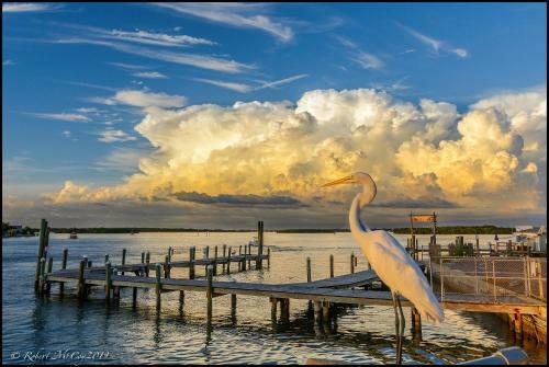 Affordable Beach Condos -three Bed 3 Bath House Home