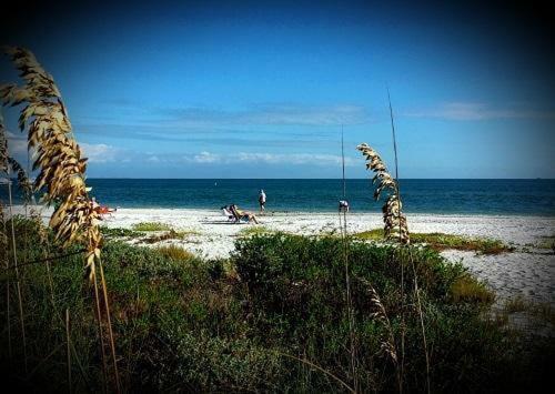 Apartamento Sanibel Siesta On The Beach Unit 212 Condo