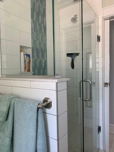 Apartamento St Pete Vacation Rentals