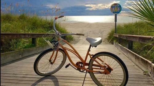 Apartamento St Pete Vacation Rentals
