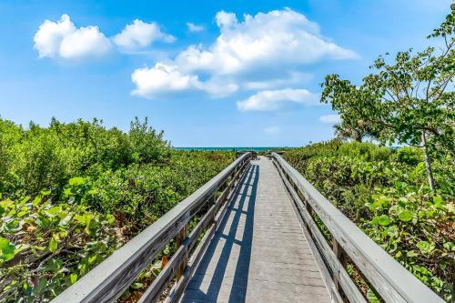 Sanibel Shells