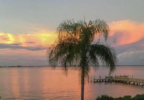 Mariner Pointe #542