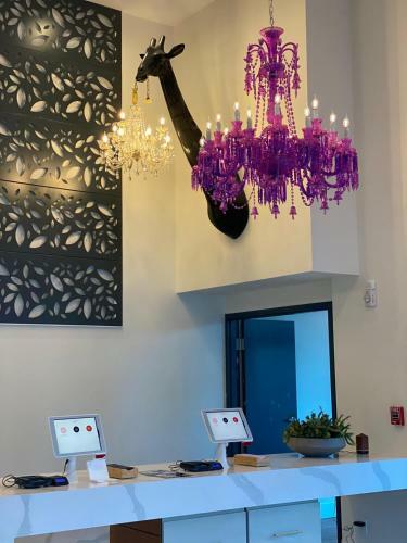 Kompose Boutique Hotel Sarasota