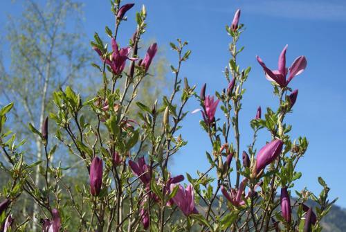 Apartamento Ferienwohnungen Kapeller