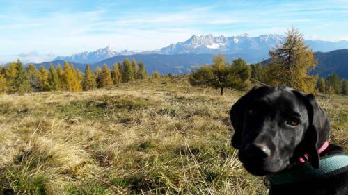 Apartamento Haus Bergsonne