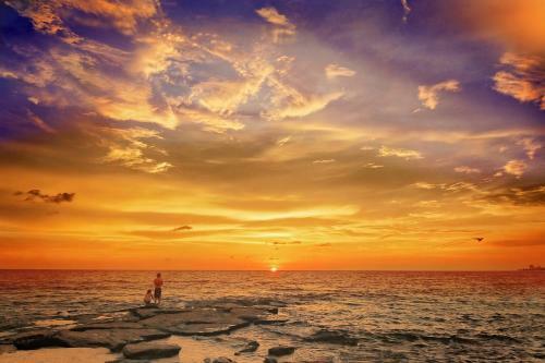 Apartamento New Listing! Tranquil Getaway 350? To Prized Beach Apts