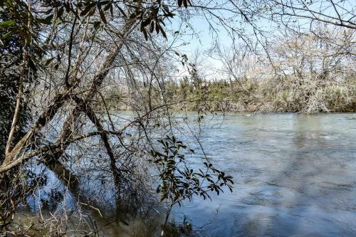 Down By The River