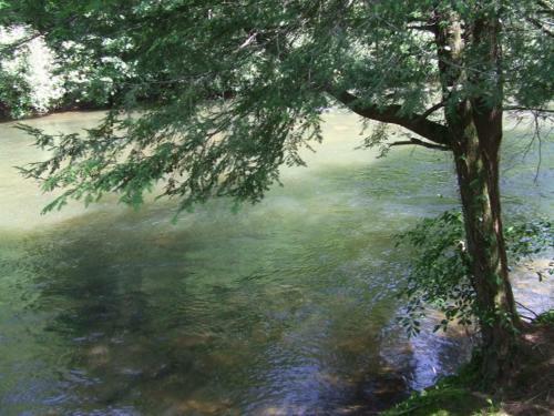 Pick's Riverside Retreat