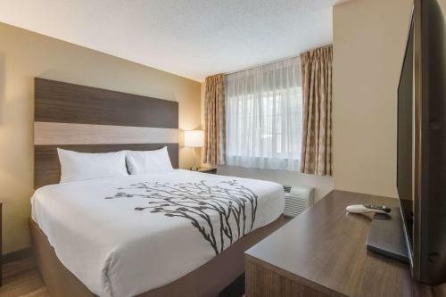 Hotel Mainstay Suites