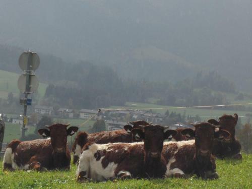 Hostal Gasthof Horner