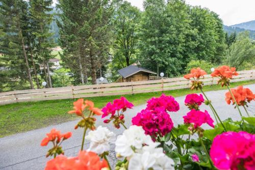 Bed & Breakfast Villa 7